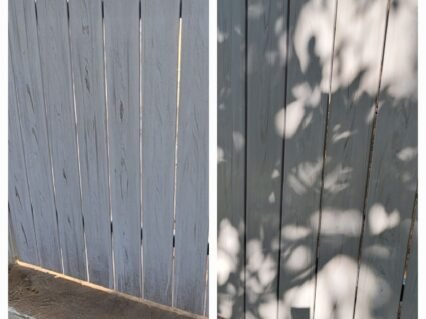 338500033_6286920554664486_628981252195313258_n