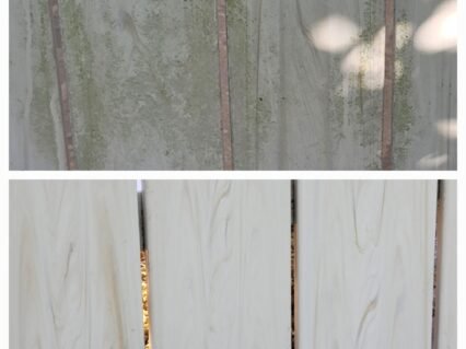 338505785_773634757289951_1102628358095252864_n