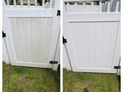 341167184_736807861258961_102681371849721071_n