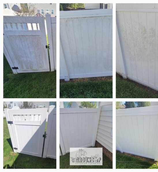 354051038_231722186285705_7650990581413632595_n